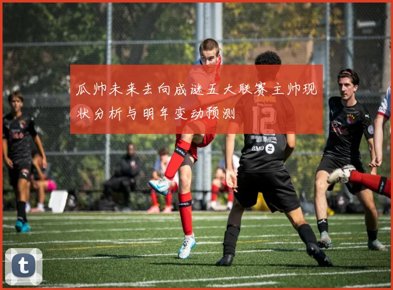 瓜帅未来去向成谜五大联赛主帅现状分析与明年变动预测