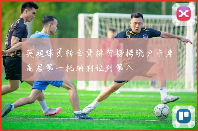 英超球员转会费排行榜揭晓卢卡库高居第一托纳利位列第八